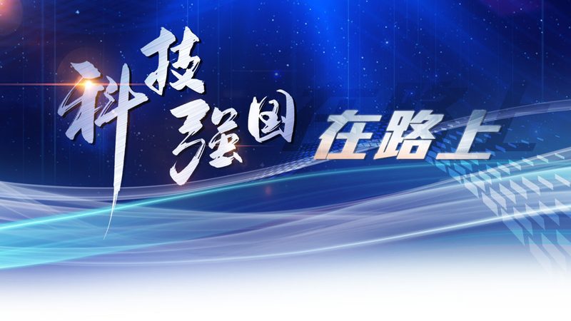 免费与收费机器学习平台：揭秘背后的差异与选择要点